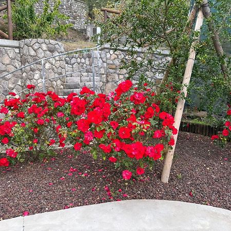 "Il Fienile Di Zia Teresa" Villa Massa Lubrense Exterior foto