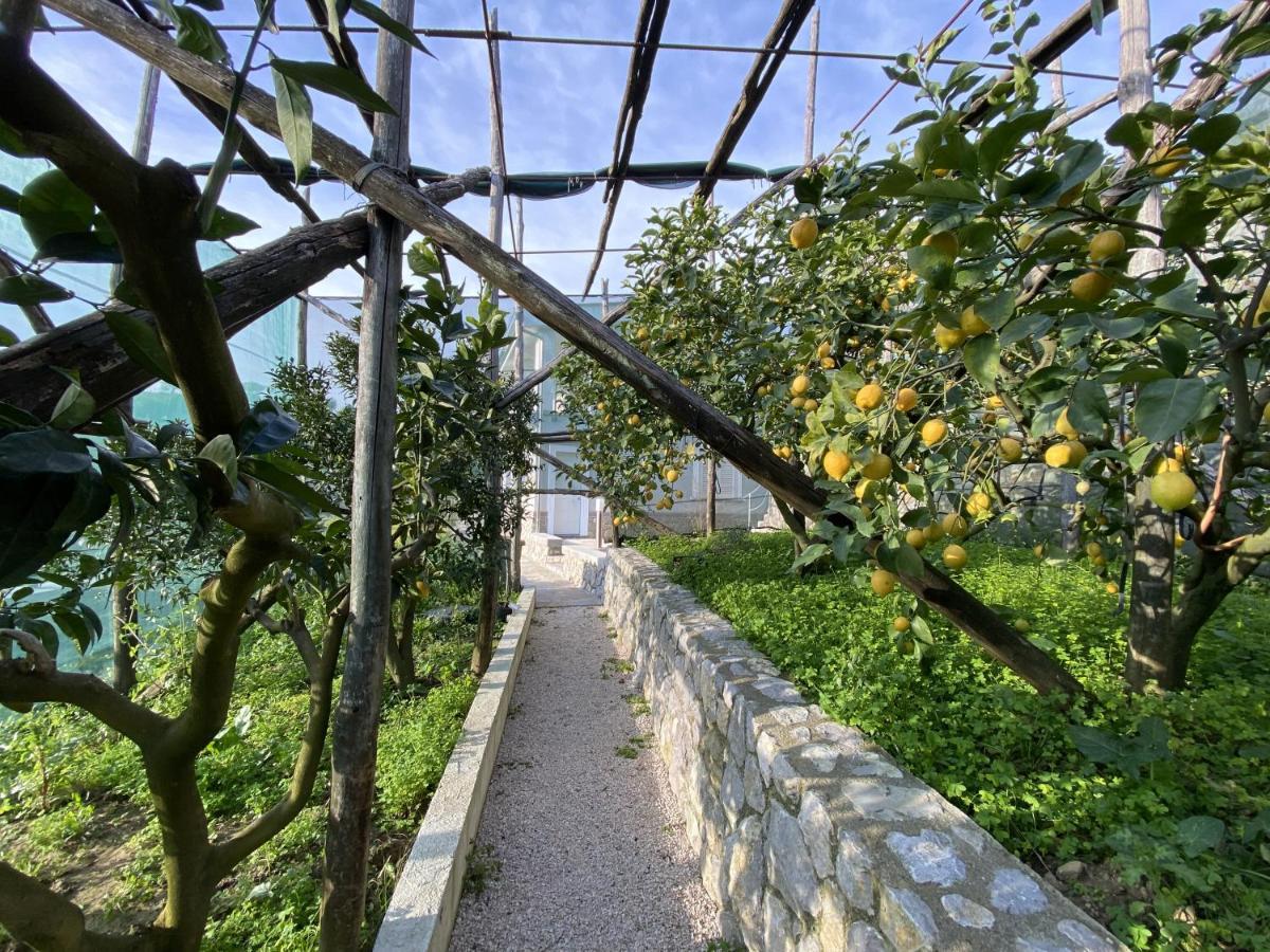 "Il Fienile Di Zia Teresa" Villa Massa Lubrense Exterior foto