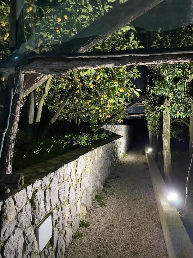 "Il Fienile Di Zia Teresa" Villa Massa Lubrense Exterior foto