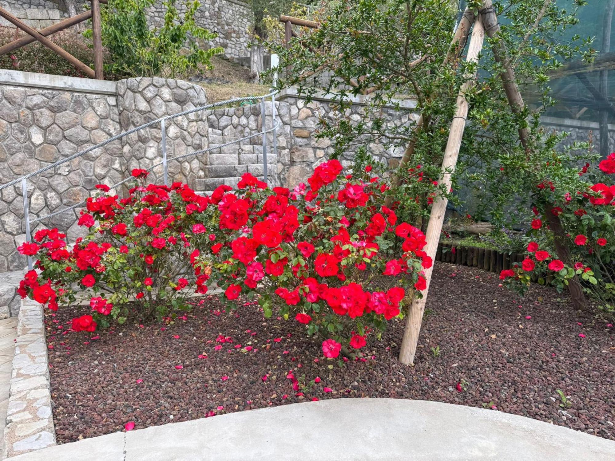 "Il Fienile Di Zia Teresa" Villa Massa Lubrense Exterior foto